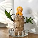 Amulya Farms Brazilian Wood Live Plant + Glass Tray + Buddha Miniature | Indoor Lucky Bamboo Wood Plants for Living Room, Home, &amp; Office Decoration | Imported Plant | Good Luck Plant with Pot &amp; Budha