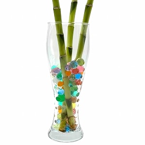 amulya farms imported glass flower pot for lucky spiral bamboo plant  ideal container for bamboo spiral stick plant  best glass bowl vase glass vase for water plants home decor plant not included