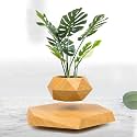 Amulya Farms Succulent Plant with Air Bonsai Pot, Magnetic Levitation Suspension Floating Pot, Potted Plant Home Decor in Flower Pots for Home &amp; Garden, Rotating Flower Pot (Wood Grain)