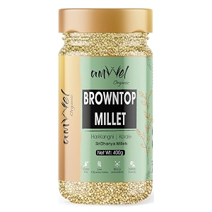 amwel organic browntop millet  400g x 3 pc  hari kangni korale  millets  positive millets  raw unpolished grain millet rice  gluten free fiber rich low gi diabetic friendly