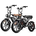 AMYET V9-G60 Electric Bike for Adults, 48V 20Ah(960WH) Ebike with Removable Battery, 20" Fat Tire E Dirt Bike,Dual Shock Absorber, Adults Electric Bike for Mountains, Snow, Sand, Road