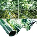 Amylove 4 Pcs Fluorescent Light Covers Classroom Ceiling Panels Light Filters with Backlit Film Material for Office School, 4 x 2 Feet (Green,Forest)