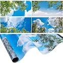Amylove 4 Pcs Fluorescent Light Covers Classroom Ceiling Panels Light Filters with Backlit Film Material for Office School, 4 x 2 Feet(Charming Color,Blue Sky, Leaves)