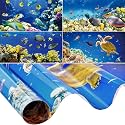Amylove 4 Pcs Fluorescent Light Covers Classroom Ceiling Panels Light Filters with Backlit Film Material for Office School, 4 x 2 Feet(Novel Color,Ocean)