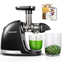 AMZCHEF Juicer Machines - Cold Press Juicer - Slow Masticating for Whole Fruits and Vegetables - No BPA Juice Extractor with 2 Cups and Brush - Delicate Chew No Need to Filter - Classic Black