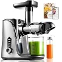 AMZCHEF Juicer Machines - Cold Press Juicer - Slow Masticating for Whole Fruits and Vegetables - No BPA Juice Extractor with 2 Cups and Brush - Delicate Chew No Need to Filter - Classic Black