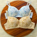 Anamta Pack of2 Padded print bra Women Push-up Lightly Padded Bra