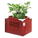 Anandi Green's 400 GSM Geo Fabric Rectangular Plant Grow Bag with PVC Pipe Support Suitable for Vegetable Terrace Gardening Maroon, 1.5Lx1Wx1H Fit