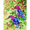 Anchor Stitch Kit - Kingfisher Duo