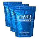 Ancient Minerals Magnesium Bath Flakes – Pure Zechstein Magnesium Chloride for Soaking and Whole-Body Replenishment, 8 lb Bag (Pack of 3)