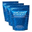 Ancient Minerals Magnesium Bath Flakes of Pure Genuine Zechstein Chloride - Resealable Magnesium Supplement Bag that Will Outperform Leading Epsom Salts 1.65 lbs (Pack of 3)
