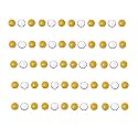 Sujok Byol Magnet Medium 5mm (60pc)