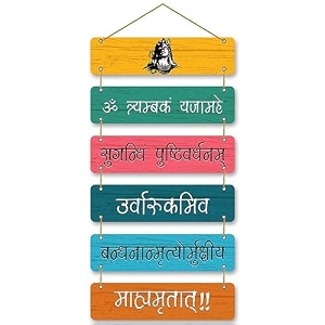 shiva mahamrityunjay mantra spiritual quote wooden wall hanging for festival decoration  wall art hanging best for home decor temple decor mandir pooja ghar multicolour