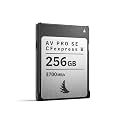 Angelbird AV PRO SE CFexpress B v4 256 GB - CFexpress 4.0 Type B Memory Card - Essentials for Your Kit - for Photo and Video Workflows