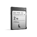 Angelbird AV PRO SE CFexpress B v4 2 TB - CFexpress 4.0 Type B Memory Card - Largest Capacity and Ultra High-Speed - up to 12 K+ RAW Video and Photo