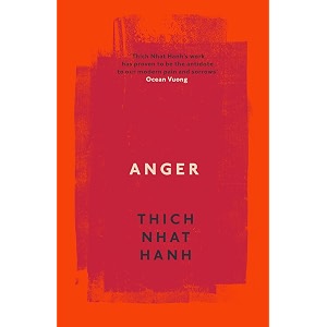 anger buddhist wisdom for cooling the flames