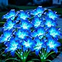 ANGMLN Solar Garden Lights 4 Pack 16 Blue Solar Lily Flowers