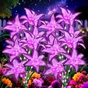 ANGMLN Solar Garden Lights 4 Pack 16 Purple Lily Flowers
