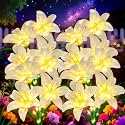 ANGMLN Solar Garden Lights 4 Pack 16 White Lily Flowers