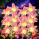 ANGMLN Solar Garden Lights 4 Pack 16 Pink Lily Flowers