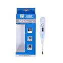 Digital Thermometer with LED Dispaly