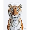 Animal Kingdom: A Collection of Portraits