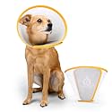 Animal Ortho Care Pet Cone E-Collar | Dog Cone, Recovery Cone for Dogs After Surgery, Lightweight, Comfortable &amp; Durable, Easy-to-Clean, Soft Microfiber Lining - Extra Small
