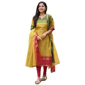 ANNI DESIGNER Womens Chanderi Cotton Straight Printed