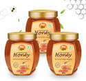 ANP BEE Raw Natural Honey NMR Tested