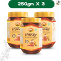 ANP BEE Raw Unpasteurized Pure Natural Honey I NMR Tested I Unfiltered Honey I 250 Gram (3 x 250 g)