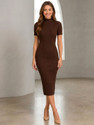 Ansh Collection Women Bodycon Brown Below Knee