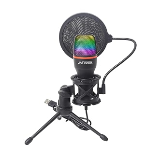 ant esports wente 210 mini usb condenser microphone for podcast recording gaming pc streaming computer microphone for desktoplaptop compatible with iphone microphone youtube ps4 ps5 tiktok