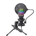 Ant Esports Wente 210 Mini USB Condenser Microphone for Podcast Recording, Gaming, PC, Streaming, Computer Microphone for Desktop/Laptop, Compatible with iPhone Microphone YouTube PS4 PS5 Tiktok