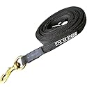 Anti-Slippery Dog Training Leash, Belt for Dogs Walk - World Class Trainers Choice Dog Leash in 5, 10, 15 &amp; 20 Feet Length- Long Leash for Dogs, Dog Leash in 5 Colors (Black, 10 Feet)