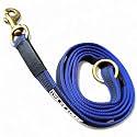 Anti-Slippery Dog Training Leash, Belt for Dogs Walk - World Class Trainers Choice Dog Leash in 5, 10, 15 &amp; 20 Feet Length- Long Leash for Dogs, Dog Leash in 5 Colors (Blue, 10 Feet)