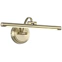 Tassuowell Antique Bronze Picture Light for Wall,Dimmable Painting Light,16 Inch Hardwired Picture Frame Lights,9W 3000K Warm White,Art Lighting Display Lamps,Rotatable Full Metal Gallery Light