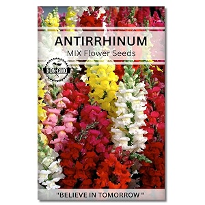 navika seeds  grow with us antirrhinum flower seeds for home gardening perfect for home amp terrace gardening winter and summer blooms in india - includes free e-book