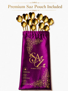 ANUSHRE 12 golden spoon Steel Coffee Spoon