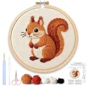 AohaiNova Punch Needle Kit for Adult Beginners,Punch Needling Set Squirrel
