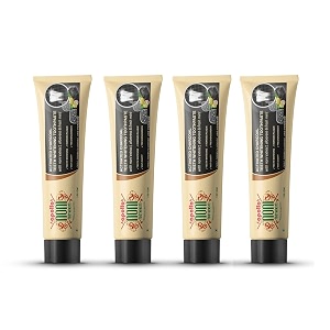apollo noni activated charcoal teeth whitening with noni extract aloevera amp fresh mint toothpaste 400g