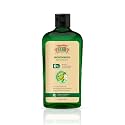 Apollo Noni Mouthwash Liquid 0% Alochol For Teeth Cleaning, Antibacterial Mouthwash for Bad Breath | Removes Germ | Alcohol Free Mouthwash | 250ml
