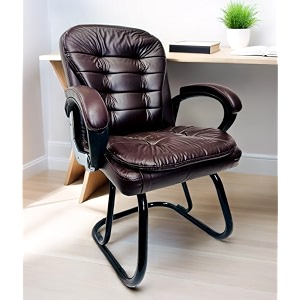executive director office visitor study home chair reception chair with arm rest comfortable cushion seat back 1 coffee powder coated double pipe frame