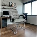 Executive Director Office Visitor Study Home Chair Reception Chair with arm Rest Comfortable Cushion seat Back (1, Grey, Single Pipe Chrome Frame)