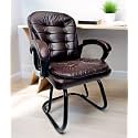 APPLE FURNITURE Executive Director Office Visitor Study Home Chair Reception Chair with arm Rest Comfortable Cushion seat Back (2, Coffee, Powder Coated Double Pipe Frame)