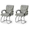 Executive Director Office Visitor Study Home Chair Reception Chair with arm Rest Comfortable Cushion seat Back (2, Grey, Double Pipe Chrome Frame)