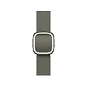 Apple Watch Band - Modern Buckle -