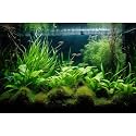 Aquarium Background Diverse Aquatic Plants Seagrasses Terrarium Background Redwood Root Lush Green Underwater Plants Tropical Style Fish Tank Background Under The Sea Aquarium Backdrop Vinyl 30x18in