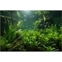 Aquarium Background Lush Aquatic Plants Seagrasses Terrarium Background Redwood Root Moss Tropical Style Green Underwater Plants Fish Tank Background Under The Sea Reptile Tank Backdrop 48x24in