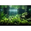 Aquarium Background Lush Green Aquatic Plants and Seagrasses Terrarium Background Under The Sea View With Rock Sands Fish Tank Background Amazing Aquarium Backdrop Background Poster Vinyl 30x18in