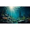 Aquarium Background Ocean Floor Fish Tank Background Underwater Coral Reef Stone Aquarium Backdrop Seaweed Background Sunlight Tank Backdrop Perfect Aquarium Backdrop Durable Vinyl 48x20in
